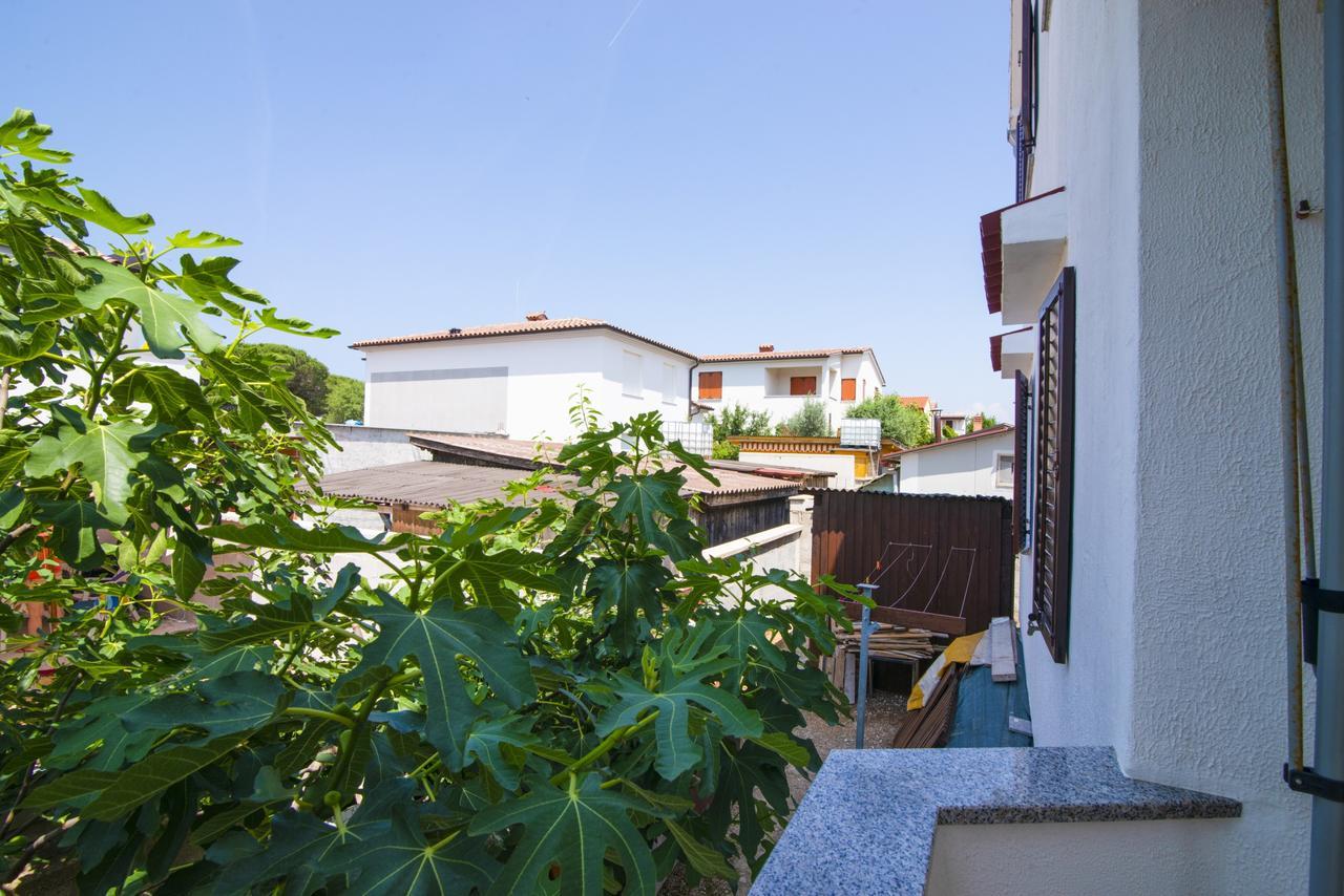 Apartment Maja Štinjan Dış mekan fotoğraf